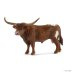 13866 Texas Longhorn Stier