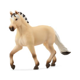 13980 Noors Fjordenpaard Merrie