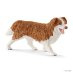 42458 Hannahs gastpaarden met hond Ruby