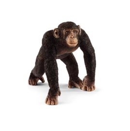 14817 Chimpansee