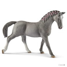 13888 Trakehner merrie