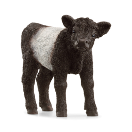 13969 Galloway Kalf