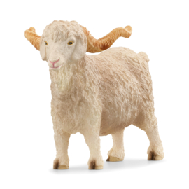 13970 Angora Geit
