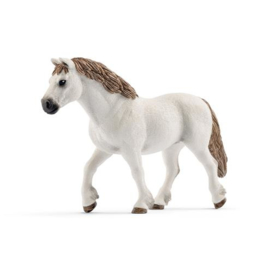 13872 Welsh Pony merrie