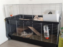 Konijnenkooi Skyline Rabbit 120 dubbel zwart