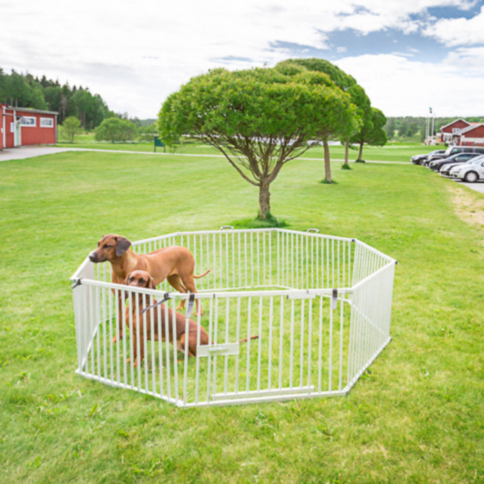 Puppyren Aluminium  (8 panelen van 80cm hoog x 80cm lang)