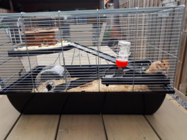 Hamsterkooi Charlie 2