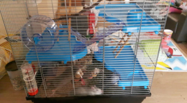 Hamsterkooi Gigant 2 blauw