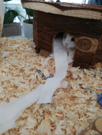 Houten speelgoed voor hamsters