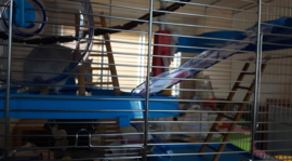 Hamsterkooi Gigant 2 blauw