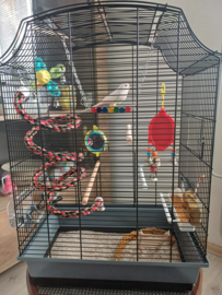 Vogelkooi Greta cabrio grijs/zwart