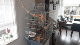 Vogelkooi Sara cabrio