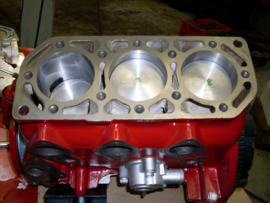 Gereviseerde 2T 850cc Saab Sport/Monte Carlo motor