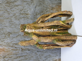 Aquarium decoratie kunst wortels