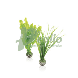 biOrb plantenset S groen