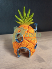 Decoratie ananas huis van Spongebob