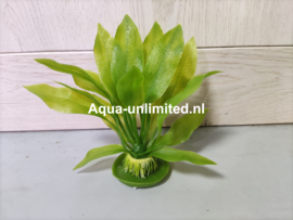 Decoratie kunst Echinodorus op plastic voet