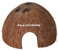 Halve kokosnoot 1/2 large