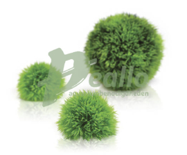 biOrb decobal Set 3 groen