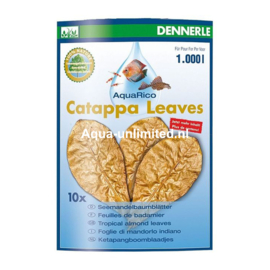 Dennerle CATAPPA LEAVES