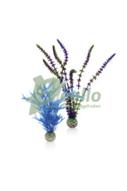 biOrb plantenset M blauw & paars