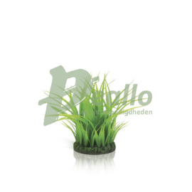 biOrb grasring S groen