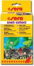 Snail Collect