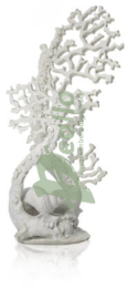 biOrb ventilatorkoraal ornament wit