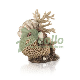 biOrb koraal & schelpen ornament naturel