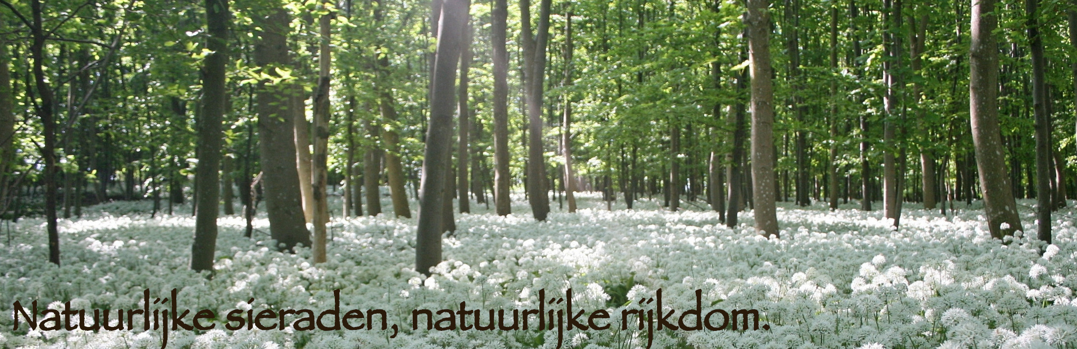 natuurlijke sieraden