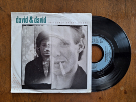 David & David met Swallowed by the cracks 1986 Single nr S20232952