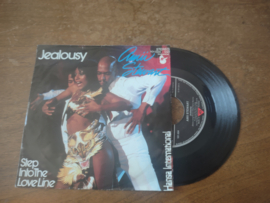 Amii Stewart met Jealousy 1979 Single nr S20221686