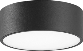 Edelstaal antraciet buitenlamp wandlamp/plafondlamp IP65 H-5,5cm nr: 9025