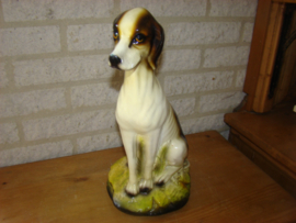 Beeld van een hond .