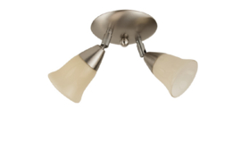 Combinatie 2-L plafondspot mat nikkel met kapjes Miniklok 8,5cm champagne nr 7Sp2-209.50