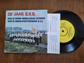 Het 20jarige BAB zingt met Het hollands lied 1973 Single nr S20232423