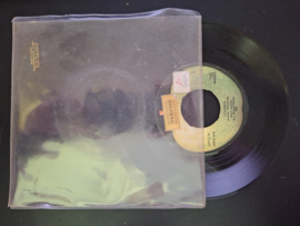 Mary Hopkin met Goodbye 1969 Single nr S20233402