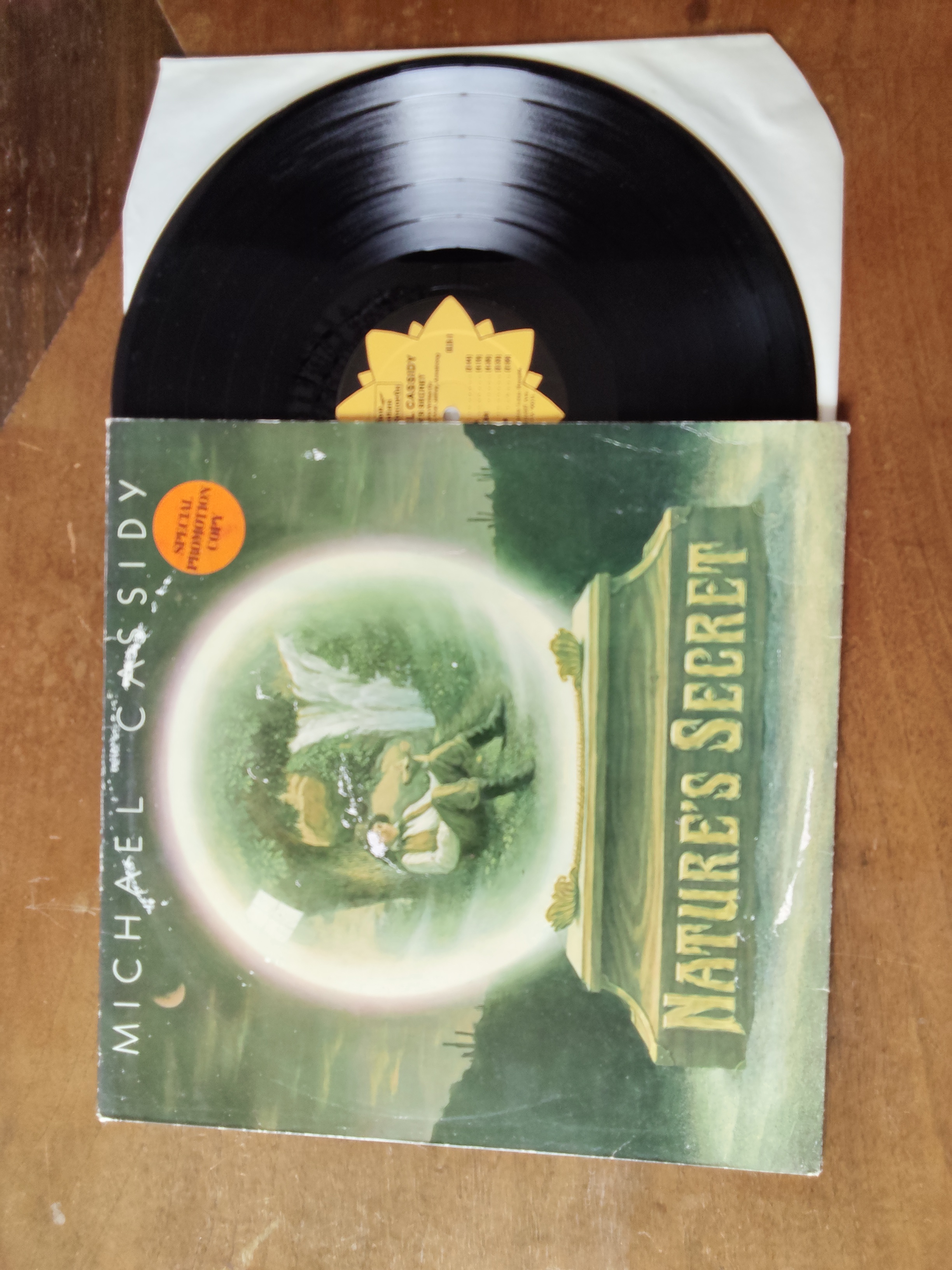 Michael Cassidy met Nature's secret 1979 LP nr L20251297