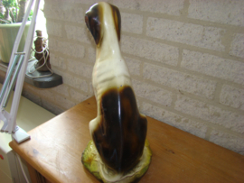Beeld van een hond .