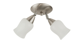 Combinatie 2-L plafondspot mat nikkel met glazen kap Urntje 11cm opaal nr 7Sp2-111.00