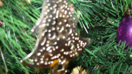 Zilverkleurige  dennenboom of kerstboom.