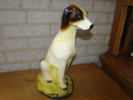 Beeld van een hond .