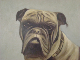 Oud schilderij Bulldog