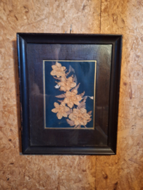 S54 Droogbloemen ingelijst omstreeks 1920-1940