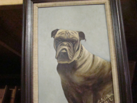 Oud schilderij Bulldog