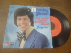 Freddy Breck met Mit einem buntem blumenstrauss 1975 Single nr S20222036