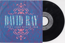 David Ray met I won't stand between them 1991 Single nr S202036