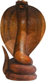 Cobra 25cm