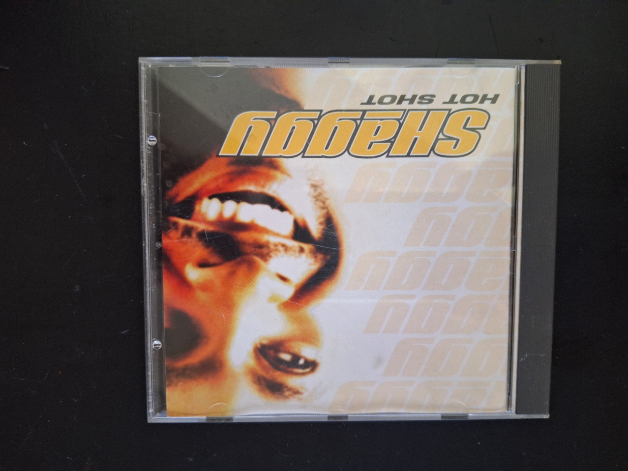 Shaggy met Hot shot 2000 CD nr CD2024659