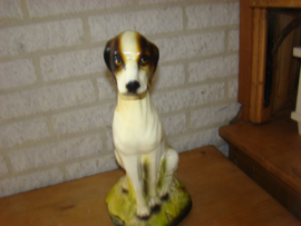 Beeld van een hond .